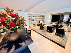 21 Anderson (D10), Condominium #526750461
